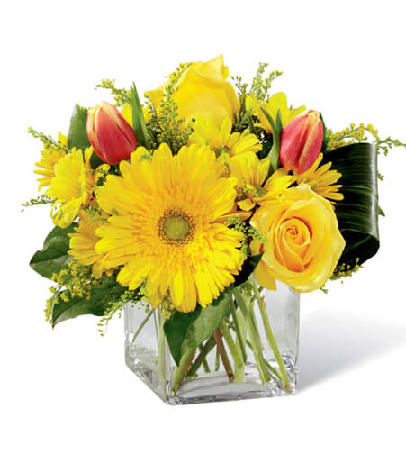 Amber Sunbeam and Red Tulip Cube with yellow roses and red tulips for State College graduation and Mothers Day delivery