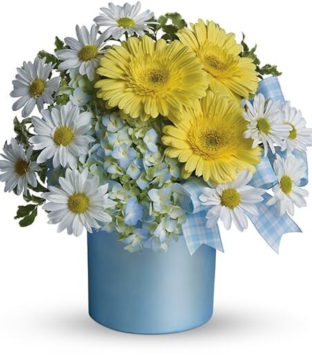 Azure Fairytale and Daisy Cylinder with blue hydrangea and yellow gerberas for State College new baby and birthday delivery