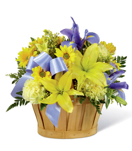 Azure Meadow and Sunbeam Basket with yellow roses and blue iris for State College new baby and birthday delivery