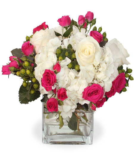 Blush and Alabaster Contrast Cube with white hydrangea and hot pink roses for State College anniversary and birthday delivery