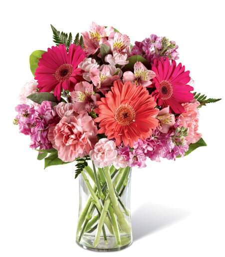 Coral Crush and Petal Bloom arrangement with pink gerbera daisies and lilies for State College graduation and get well delivery