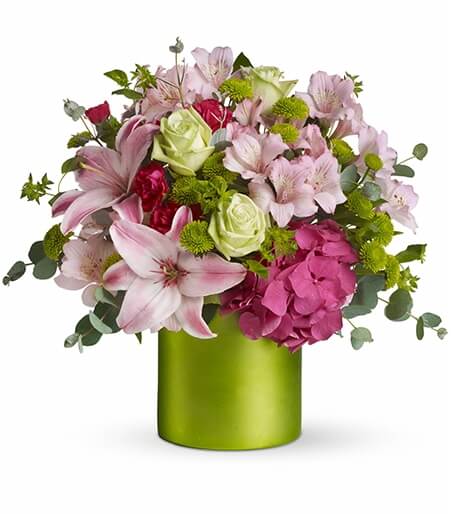 Emerald Garden and Roseate Hydrangea Cylinder with green roses and pink lilies for State College birthday and unique romantic delivery
