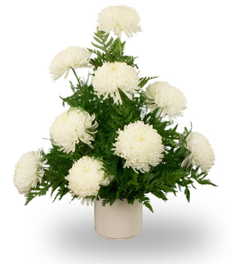 Eternal Peace Mum Arrangement with white chrysanthemums for State College sympathy and funeral delivery