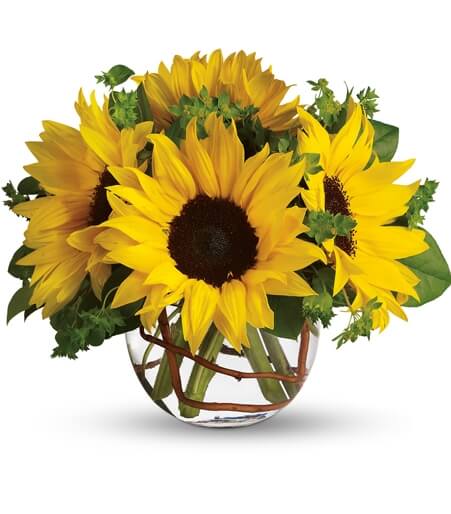 Golden Sunbeam and Rose Globe with sunflowers and orange spray roses for State College get well and graduation delivery