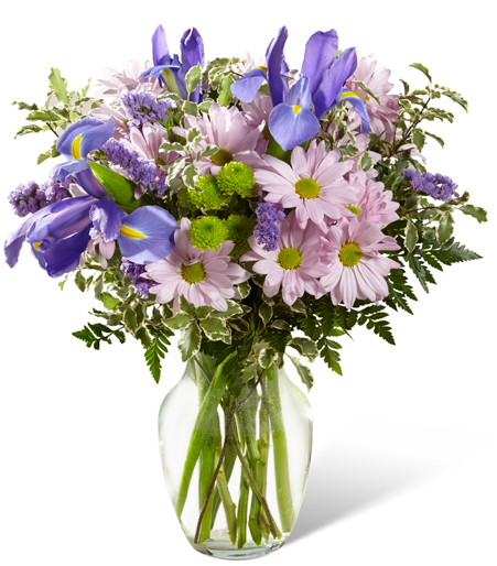 Indigo & Violet Meadow Arrangement with blue iris and lavender daisies for State College graduation and thinking-of-you delivery