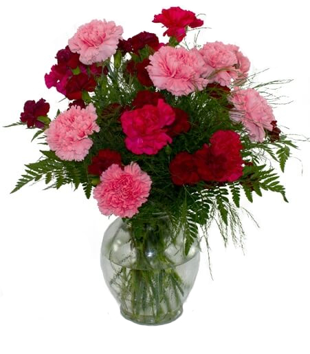 Lush Carnation Garden Arrangement in pink and burgundy for State College birthday and graduation delivery