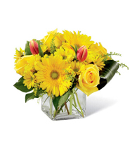 Amber Sunbeam and Red Tulip Cube with yellow roses and red tulips for State College graduation and Mothers Day delivery