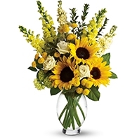 Aura of Amber & Verdant Rose Bouquet with sunflowers and green roses for State College birthday and cheer-up delivery