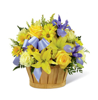 Azure Meadow and Sunbeam Basket with yellow roses and blue iris for State College new baby and birthday delivery