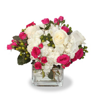 Blush and Alabaster Contrast Cube with white hydrangea and hot pink roses for State College anniversary and birthday delivery