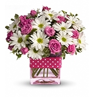 Blush and Polka Dot Artisan Vase with pink spray roses and white daisies for State College graduation and thinking-of-you delivery