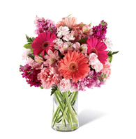 Coral Crush and Petal Bloom arrangement with pink gerbera daisies and lilies for State College graduation and get well delivery