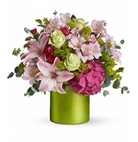 Emerald Garden and Roseate Hydrangea Cylinder with green roses and pink lilies for State College birthday and unique romantic delivery