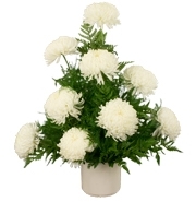 Eternal Peace Mum Arrangement with white chrysanthemums for State College sympathy and funeral delivery