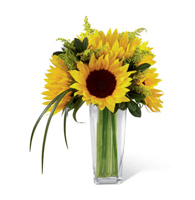 Golden Glow and Grasslands Sunflower Vase with solidago and lily grass for State College birthday and hospital delivery