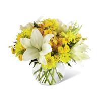 Golden Hour Lily Bubble Vase with white Asiatic lilies and yellow chrysanthemums for State College graduation and get well delivery