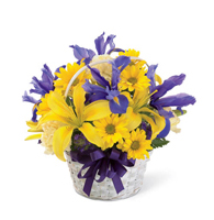 Golden Meadows Basket Arrangement with yellow lilies and purple iris for State College graduation and birthday delivery