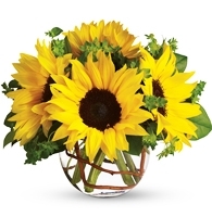 Golden Sunbeam and Rose Globe with sunflowers and orange spray roses for State College get well and graduation delivery
