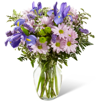 Indigo & Violet Meadow Arrangement with blue iris and lavender daisies for State College graduation and thinking-of-you delivery