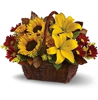 Sun-Kissed Meadow and Gold Lily Basket with sunflowers and burgundy chrysanthemums for State College birthday and get-well delivery